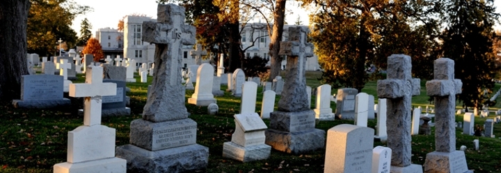 A collection of grave markers