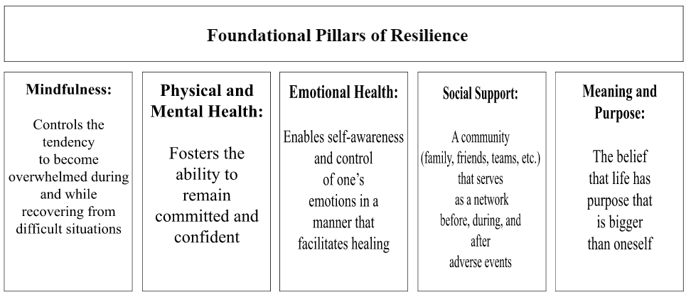 Resilience.PNG