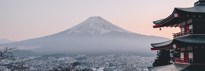 japanese.