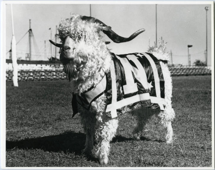Navy Goats: Bill XII
