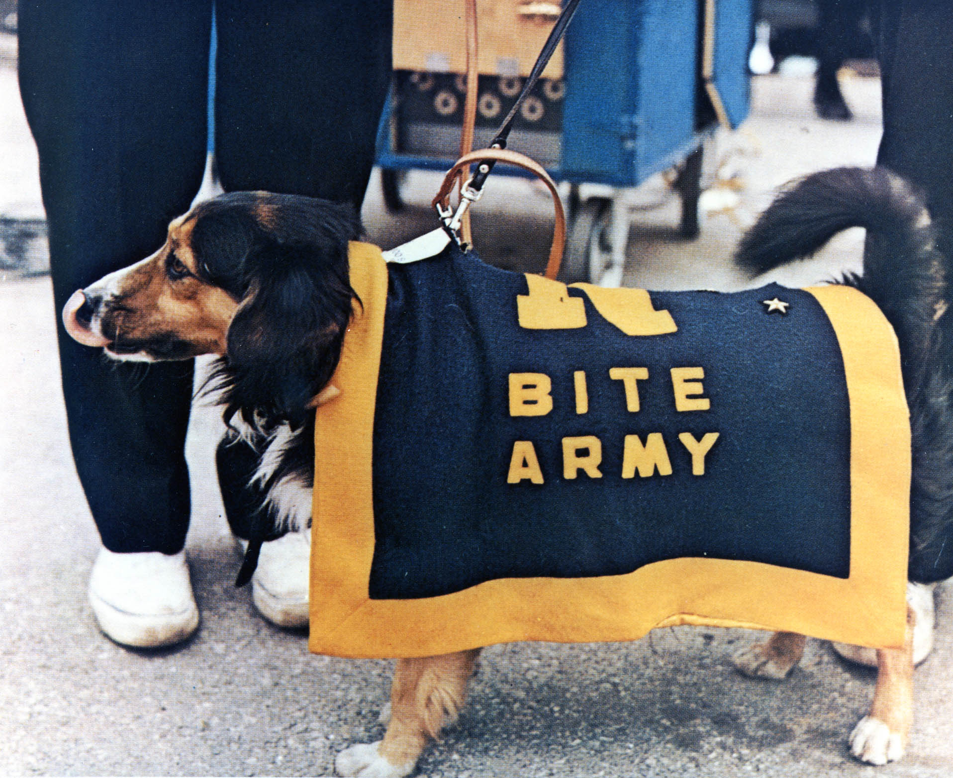 Navys Mascot: Dodo "Bite Army"