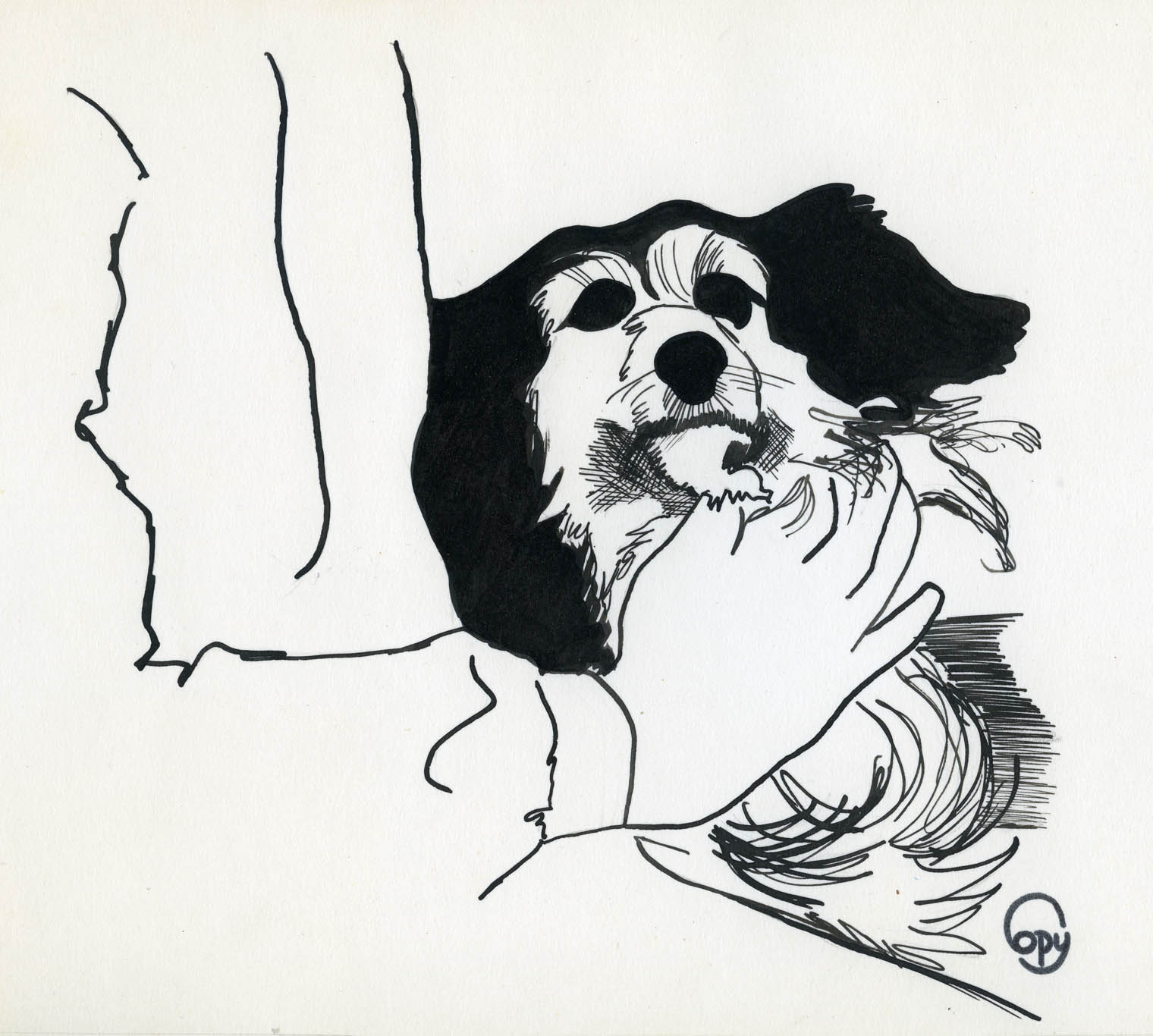 Navys Mascot: Dodo by Berg