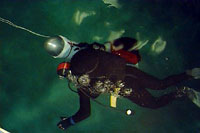 Diver