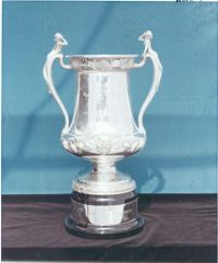The Aloha Cup