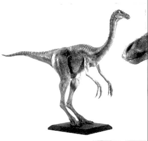 Galliphosaurus